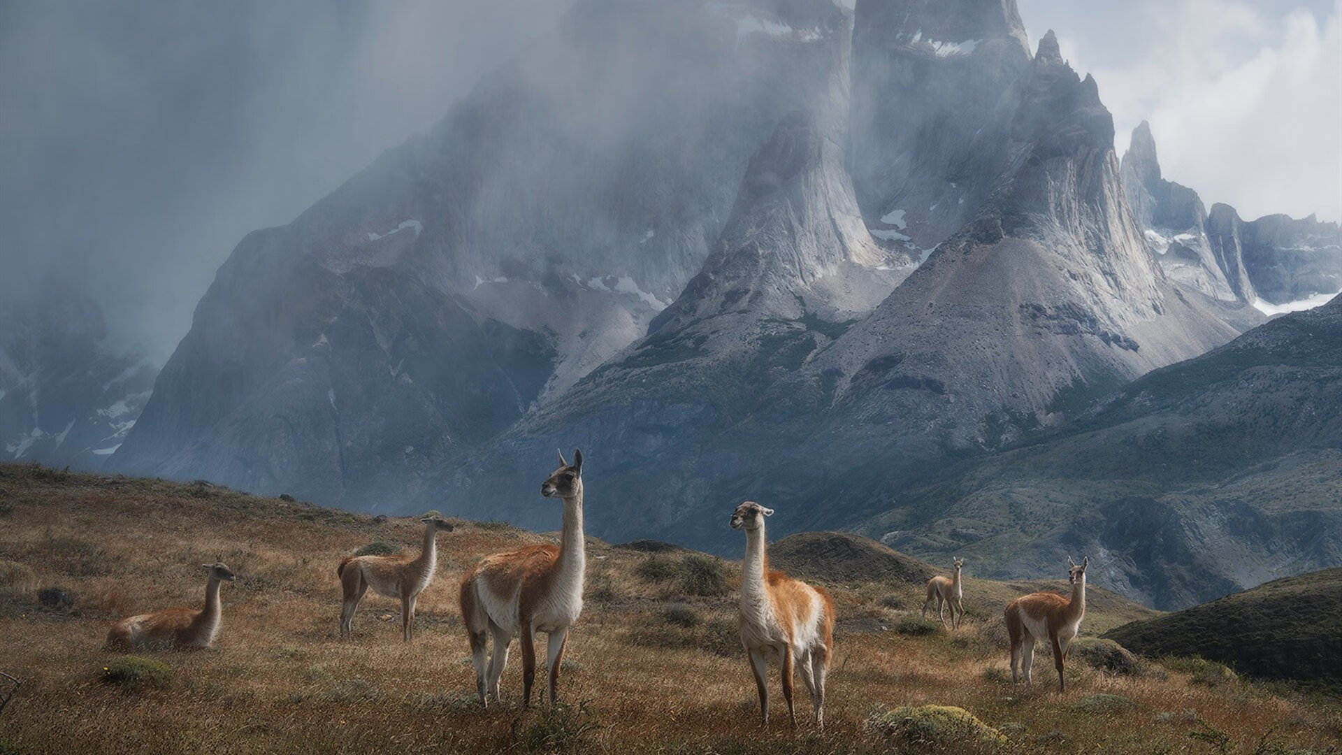 塞维利亚绝境重生,阿坎吉一锤定音击碎曼联欧战梦