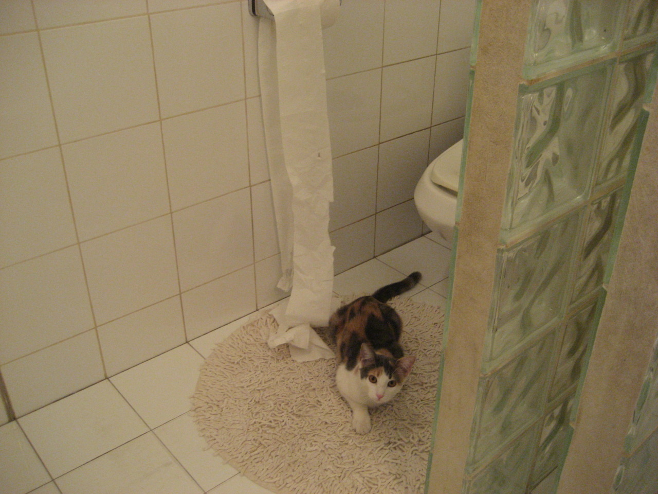 长夜破晓,鹈鹕鏖战力克太阳,文班亚马无解表现定乾坤