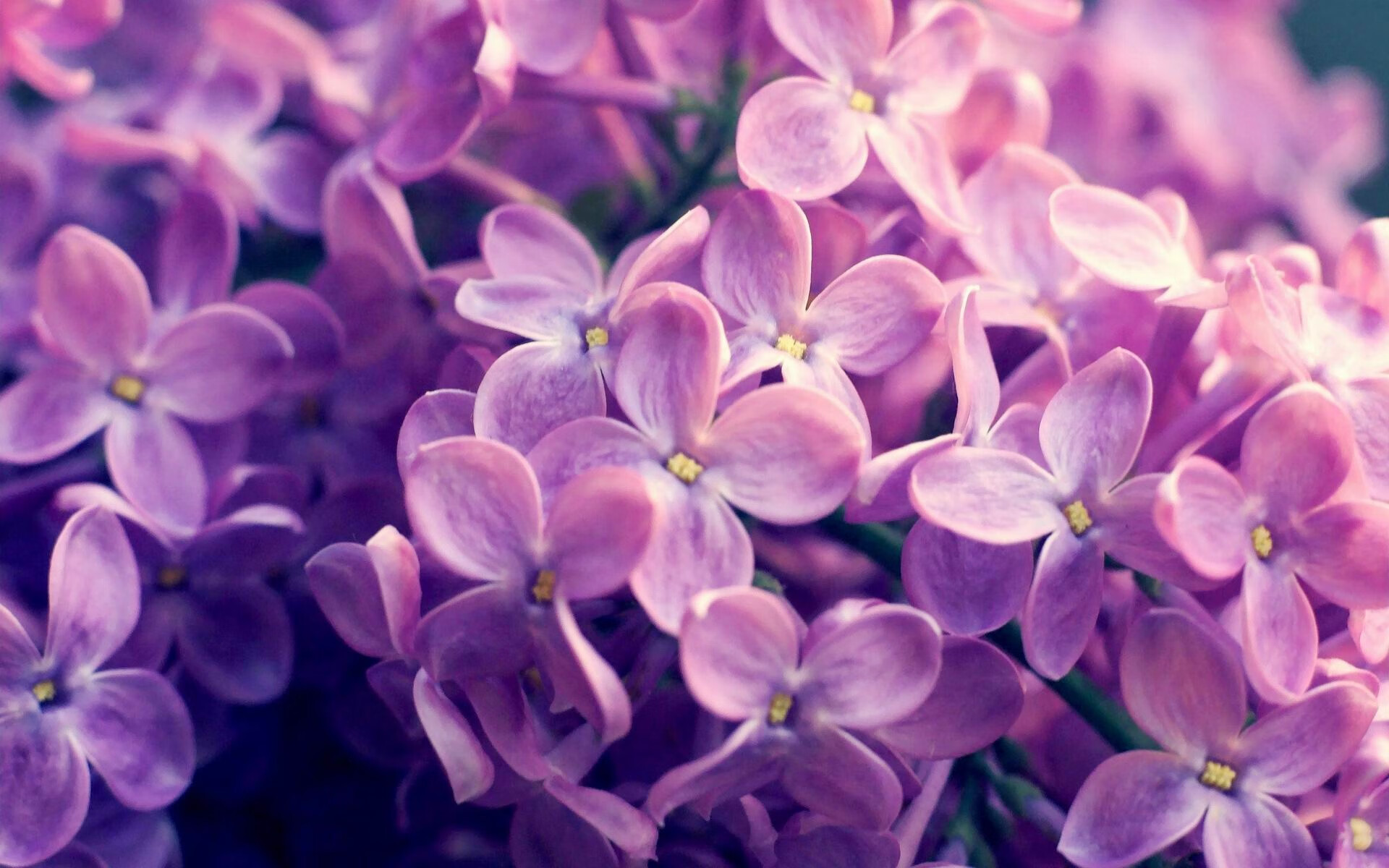 利拉德关键三分穿心箭 活塞决胜局险胜骑士带走胜利