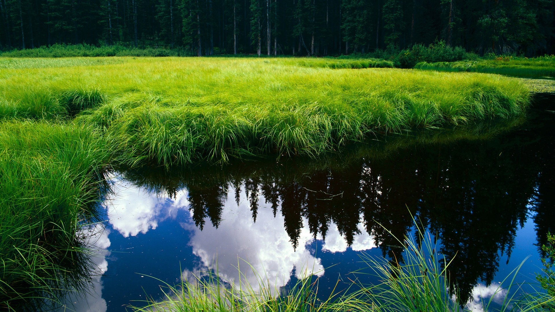 末节17分扼杀逆转!当福克斯露出獠牙,才知道谁才是大场面先生