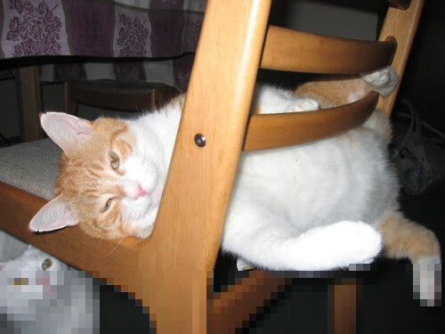 爆发与终结,杰伦·格林的火焰与广东队的寒冰